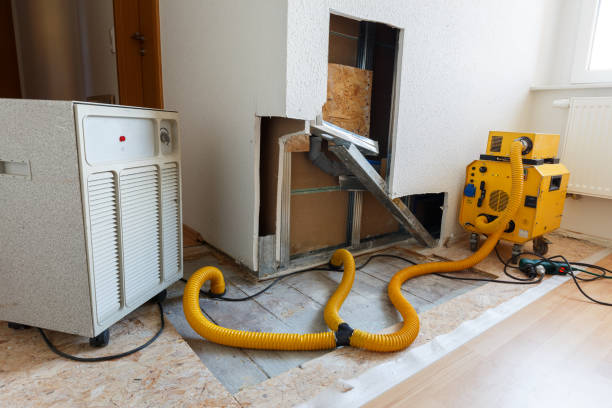  Aiea, HI Mold Removal Pros